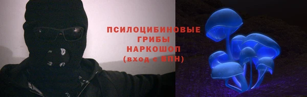 a pvp Алексеевка