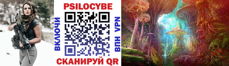 Галлюциногенные грибы Psilocybe  купить наркотики цена  Тулун 